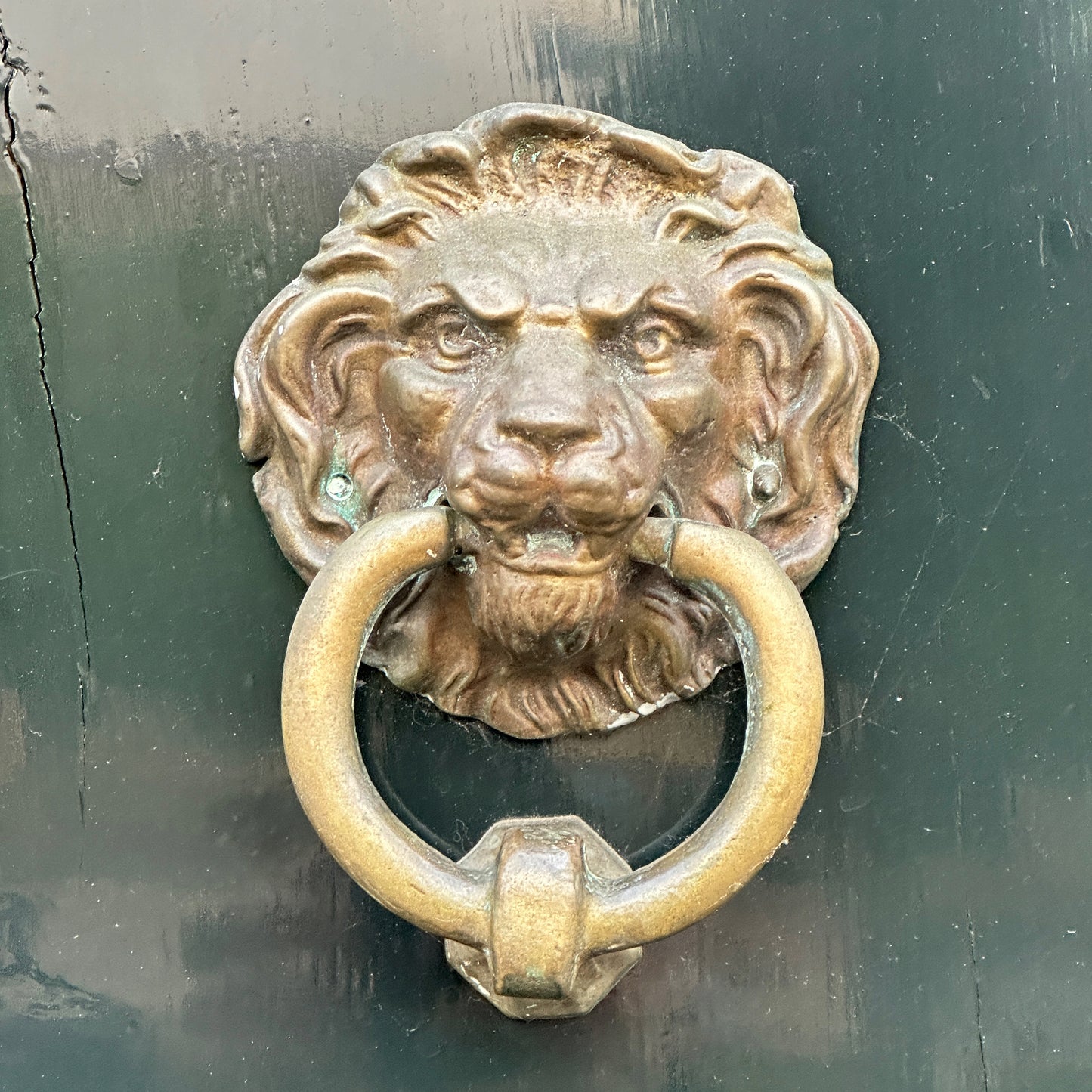 
                  
                    Lion Door Knocker Earrings in Bronze with Onyx and Pyrite
                  
                
